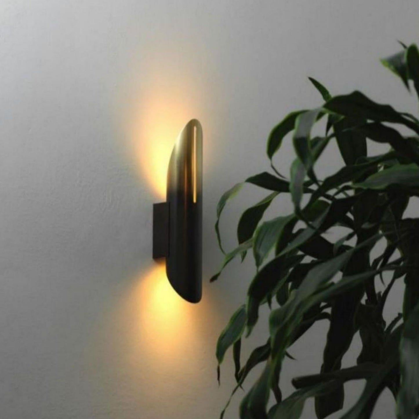 Aurex Wall Sconce